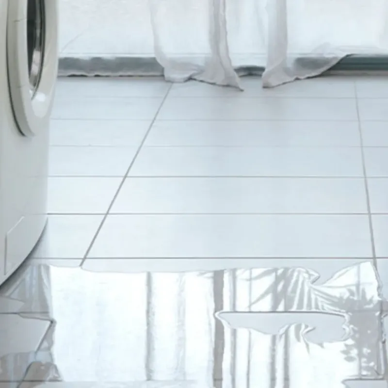 Appliance Leak Cleanup in Bartlett, IL