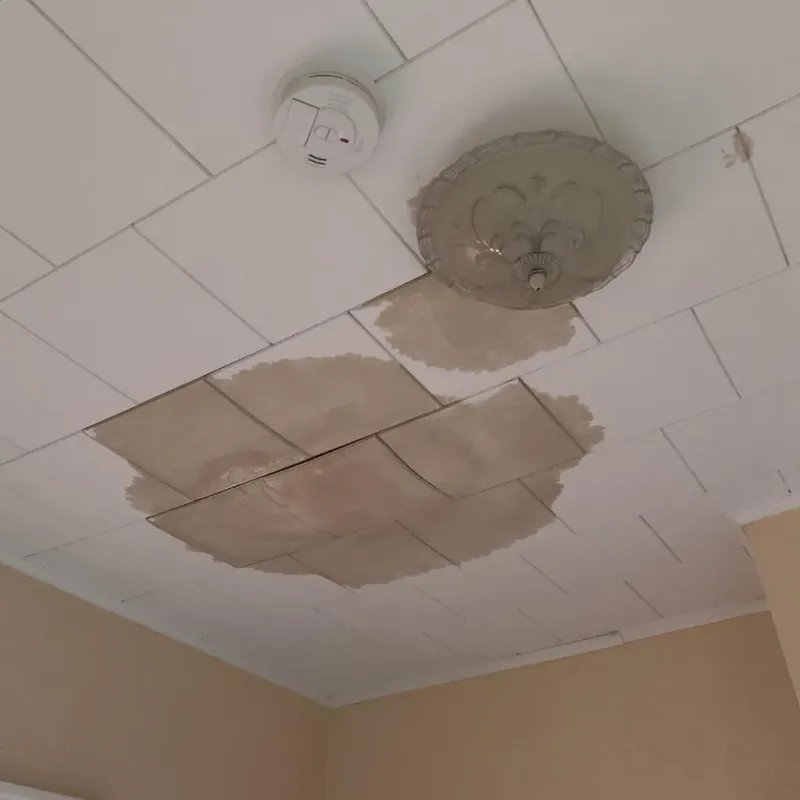 Ceiling Water Damage Repair in Bartlett, IL