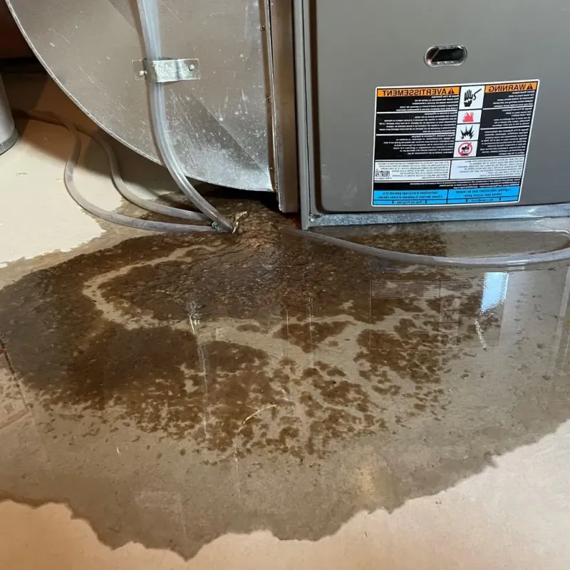 Pipe Burst and Leak Restoration in Bartlett, IL
