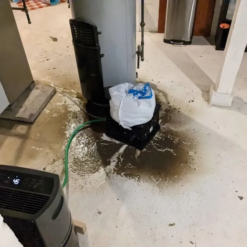 Sewage Backup Cleanup Service in Bartlett, IL